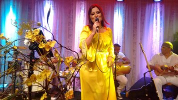 Wilma Araújo e papo com diretor Lírio Ferreira são destaques da sexta-feira no Circuito