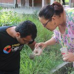 Estudantes do projeto de extensão da Esenfar produzem armadilhas para o Aedes aegypti