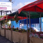 Nutricionistas da Ufal vão orientar consumidores durante Feira Orgânica da Seagri