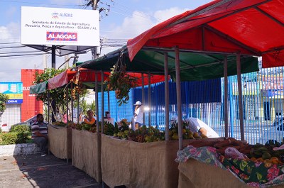 Feira Orgânica acontece no pátio da Secretaria de Agricultura. Foto: Ascom Seagri