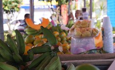 Produtos orgânicos. Foto: Ascom Seagri