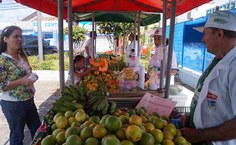 Produtos orgânicos. Foto: Ascom Seagri