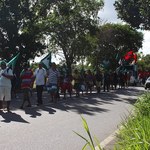 Estudantes e movimentos sociais lançam comitê contra uso de agrotóxicos