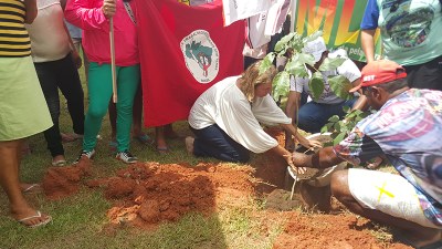 Reitora plantando muda ao lado dos trabalhadores. Fotos: Lenilda Luna | nothing