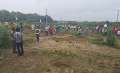 Movimentos agrários prepararam o terreno da horta orgância