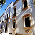 Museu de História Natural divulga programação variada e gratuita