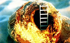 Foto da exposição de Francisco Oiticica