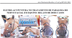 Equino tratado com paralisia de nervo facial