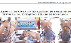 Equino tratado com paralisia de nervo facial