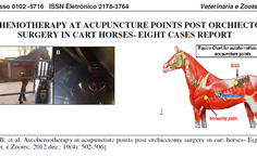 Primeiro artigo do uso de autohemoterapia em animais carroceiros submetidos a castração, em 2012