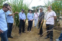 A equipe da Propep conheceu a área de plantio do PMGCA