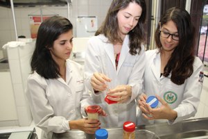 Pesquisa da Ufal desenvolve bebida nutritiva à base de inhame