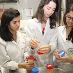 Pesquisa da Ufal desenvolve bebida nutritiva à base de inhame