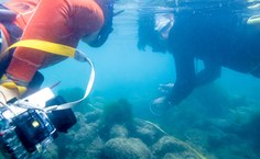 Estudo é realizado na Piscina dos Amores