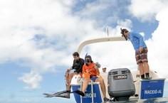 Levantamento foi realizado no último sábado (28)