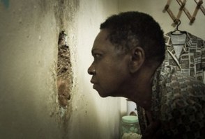 Ufal recebe 10ª Mostra Cinema e Direitos Humanos no Mundo