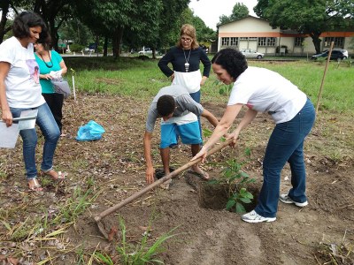 Familiares e professores ajudaram a capinar e organizar o bosque