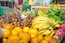 Feira orgânica foi montada no CIC