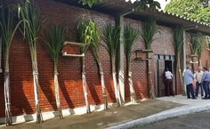 Variedades de cana de açúcar ficaram expostas durante evento