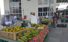 Feira de Produtos orgânicos da agricultura familiar