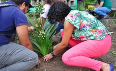 Plantação de mudas na Faculdade de Serviço Social