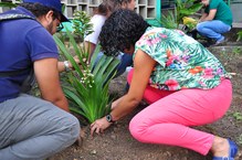 Plantação de mudas na Faculdade de Serviço Social