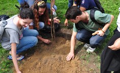 Plantio de mudas durante calourada