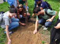 Plantio de mudas durante calourada