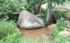 Nascente da Serra da Caiçara antes o reflorestamento