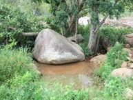 Nascente da Serra da Caiçara antes o reflorestamento