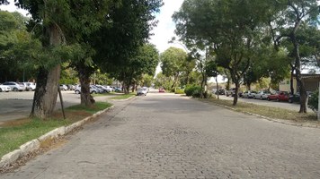 Edital oferece 300 bolsas para projetos que atendam à comunidade