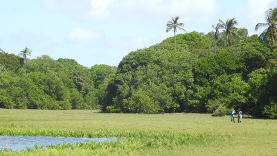 Região de restinga com lagoas temporárias na APA de Piaçabuçu