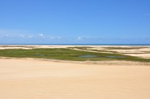 Região das Dunas da Foz do Rio São Francisco na APA de Piaçabuçu