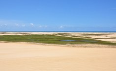 Região das Dunas da Foz do Rio São Francisco na APA de Piaçabuçu