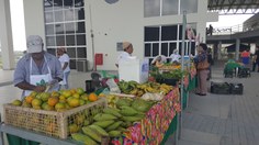 Feira de Produtos orgânicos da agricultura familiar