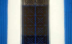 Foto Carolina Amorim