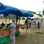Dia do Nutricionista: Faculdade de Nutrição realiza atividade no campus