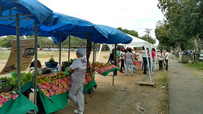 Ação dos nutricionistas aconteceu ao lado da feira