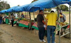 Feira de produtos orgânicos acontece todas as quartas feiras