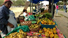 Feira Orgânica da Ufal