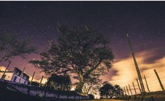 Ponto principal é realizar um mapeamento capaz de ativar as redes empreendedoras no agreste alagoano, uma vez que, dispõe se de produtos qualificados para expansão internacional