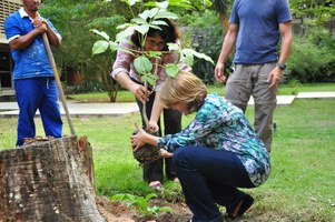 Dia da árvore é comemorado na Ufal com plantio de mudas