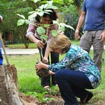 Dia da árvore é comemorado na Ufal com plantio de mudas