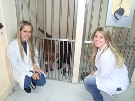 Dificuldades e perseverança marcam trajetória da Unidade de Viçosa