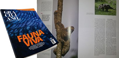 Museu de História Natural é destaque na nova edição da Graciliano