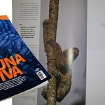 Museu de História Natural é destaque na nova edição da Graciliano