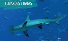 Arte de divulgação do edital