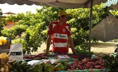 Feira Orgânica foi montada na Ufal