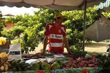 Feira Orgânica foi montada na Ufal