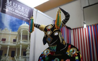 Museu Théo Brandão traz parte de seu acervo para Bienal